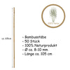 50x Pflanzstab Bambusstab 105 cm x 8 - 10 mm Bambus Rankhilfe Pflanzstab Tonkinstab 100% Naturproduk 5