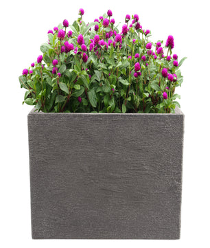 Pflanzkübel Kubus 50x50 cm groß - Granitstein-Optik in Anthrazit - Für Außen, frostsicher 6