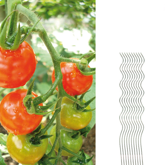 Tomatenspiralstäbe 10 Pflanzstäbe Tomaten 110cm verzinkt 2