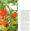 Tomaten Rankhilfe 20 Spiralstäbe Tomatenstangen 110cm verzinkt 2