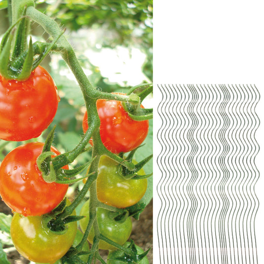 Tomatenstäbe 30 Stück Spiralstäbe 110cm verzinkt 2