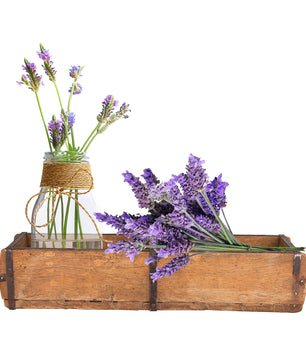 ecomposer-menge-1x,ecomposer-größe-58x15x10cm