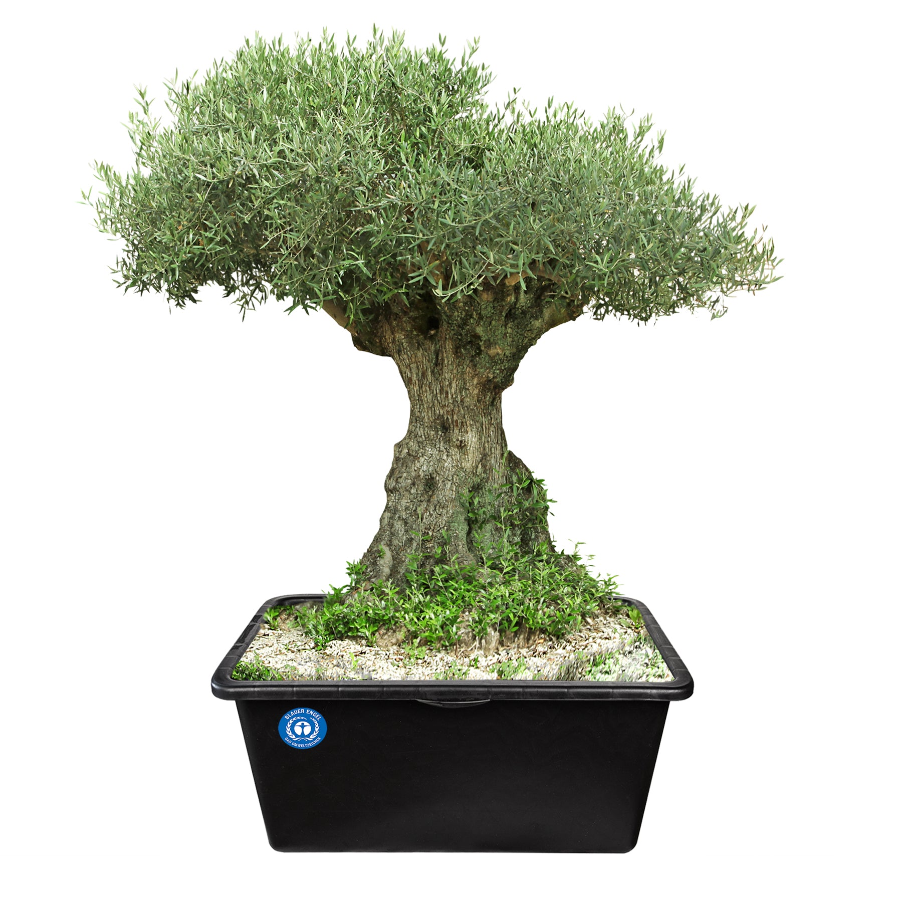 ecomposer-größe-90liter