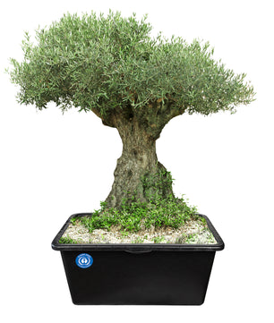 ecomposer-größe-60liter