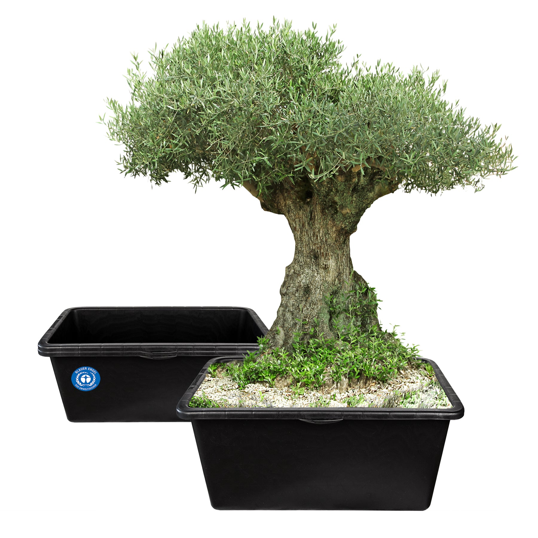 ecomposer-größe-80liter