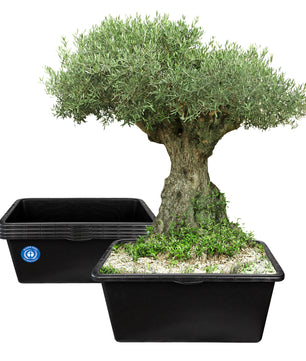 ecomposer-größe-60liter