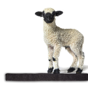 ecomposer-farbe-anthrazit,ecomposer-größe-100cm