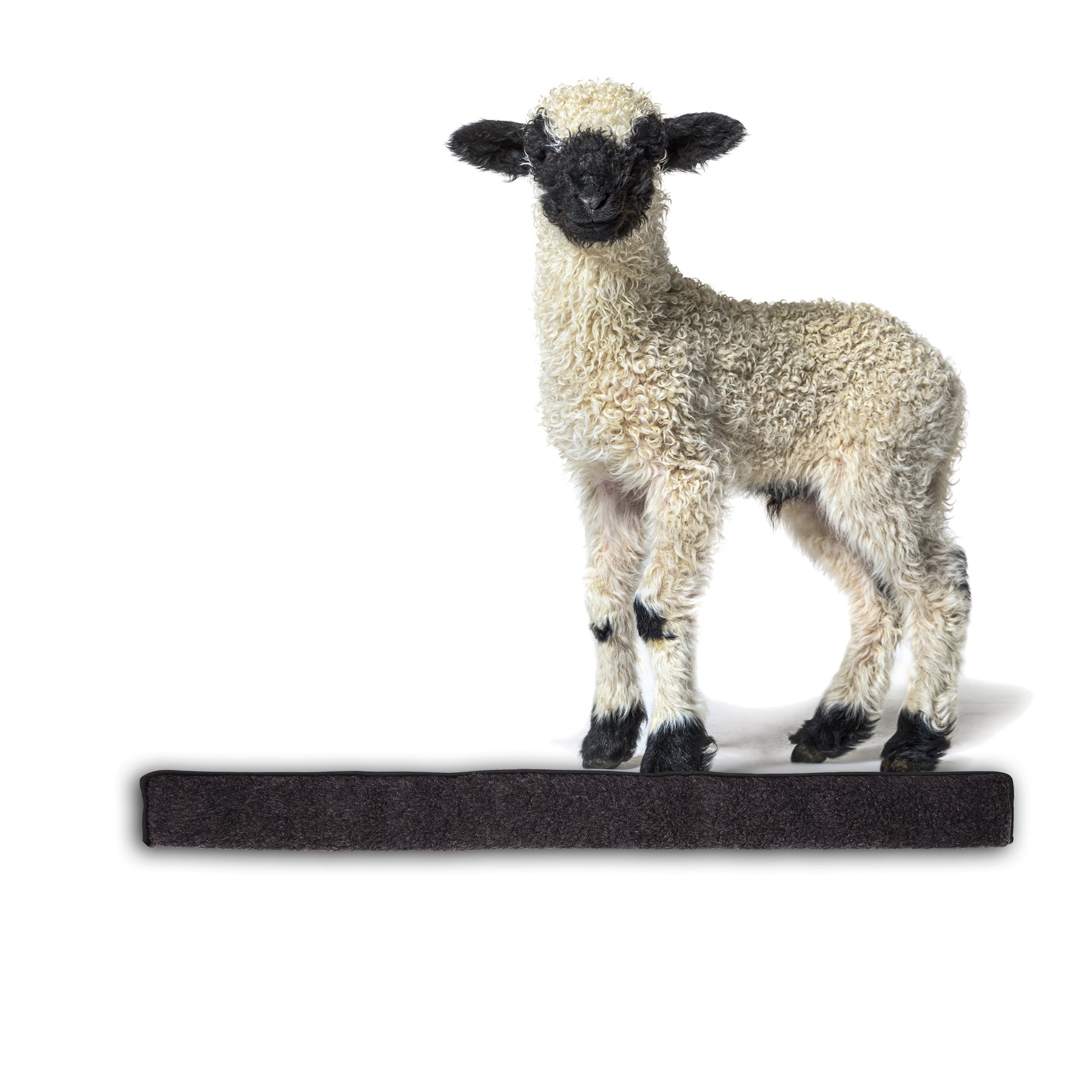 ecomposer-farbe-anthrazit,ecomposer-größe-100cm