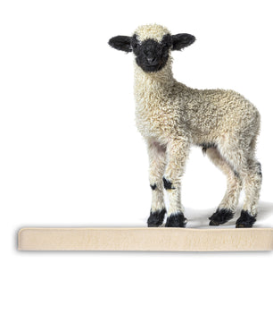 ecomposer-farbe-beige,ecomposer-größe-120cm