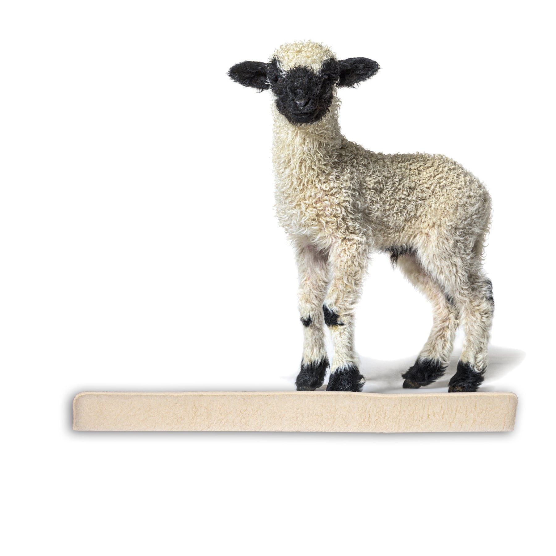 ecomposer-farbe-beige,ecomposer-größe-120cm