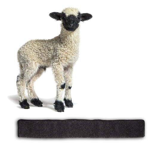 ecomposer-farbe-anthrazit,ecomposer-größe-80cm