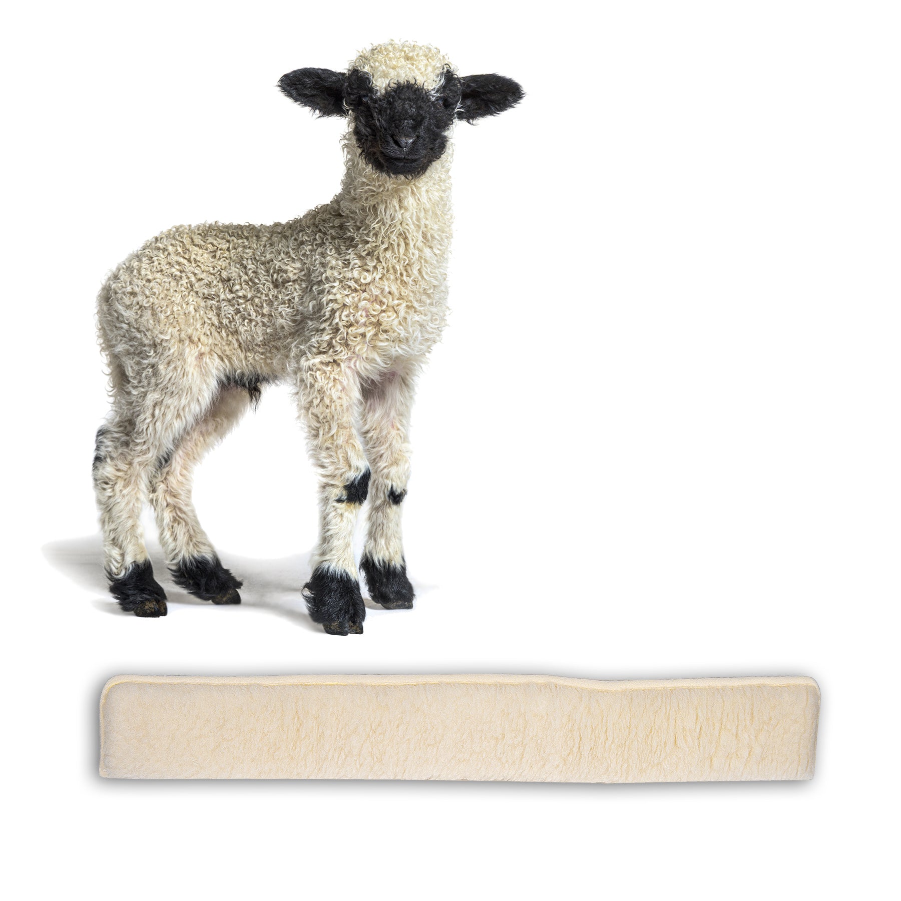 ecomposer-farbe-beige,ecomposer-größe-100cm