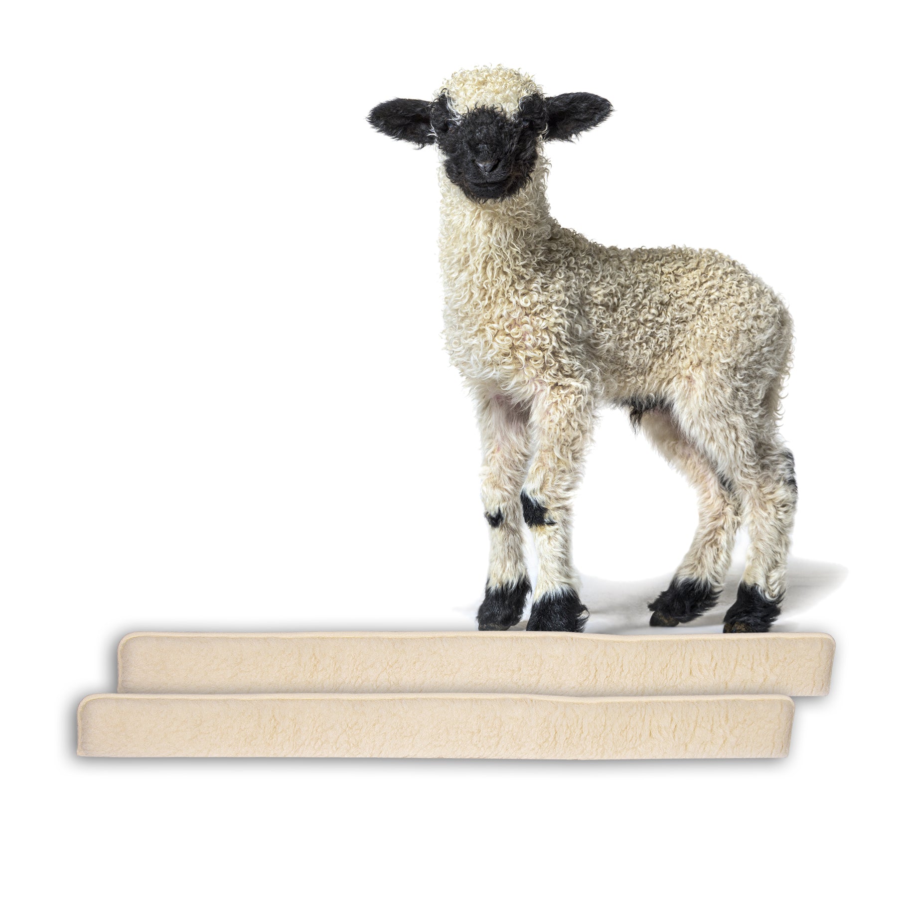 ecomposer-farbe-beige,ecomposer-größe-150cm