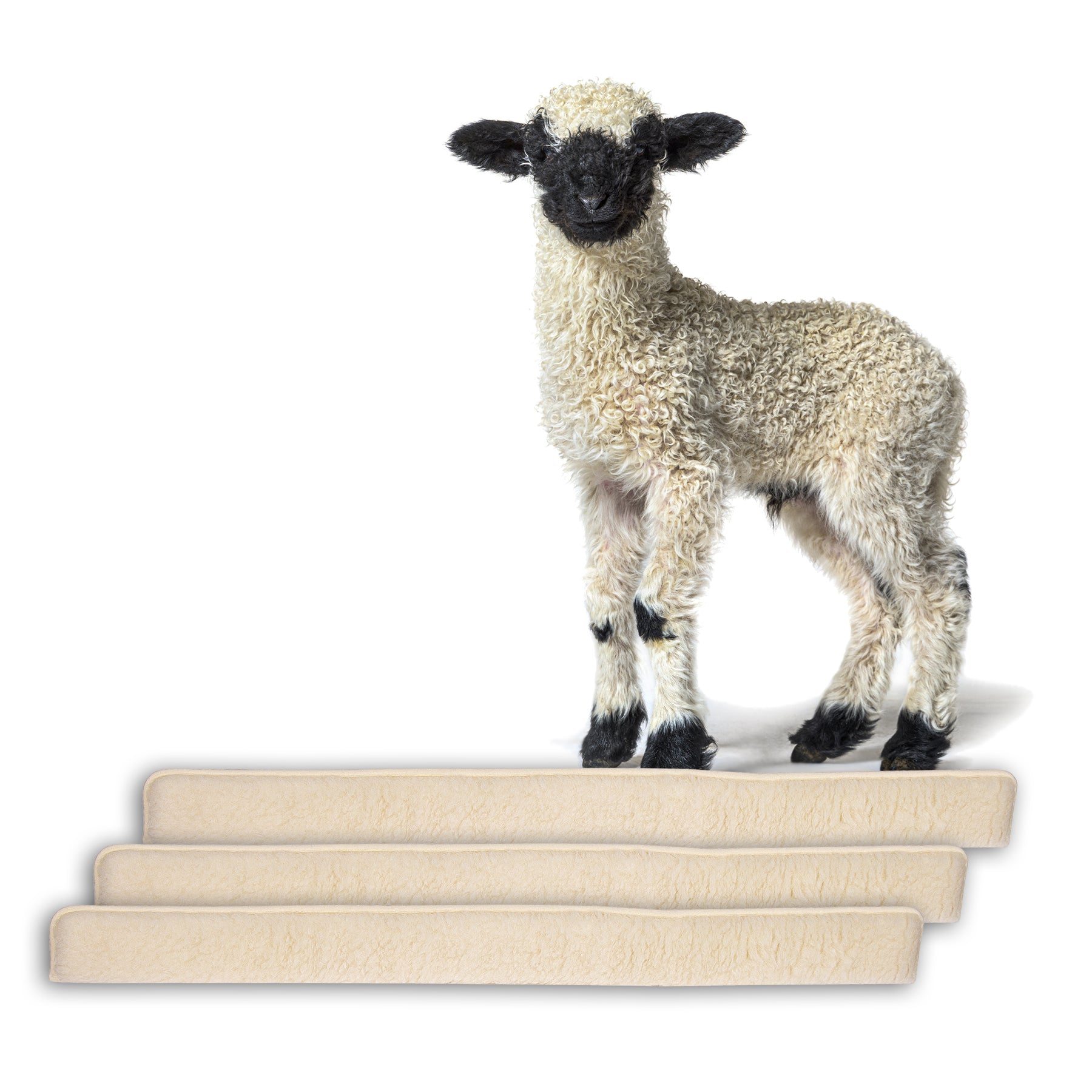 ecomposer-farbe-beige,ecomposer-größe-150cm