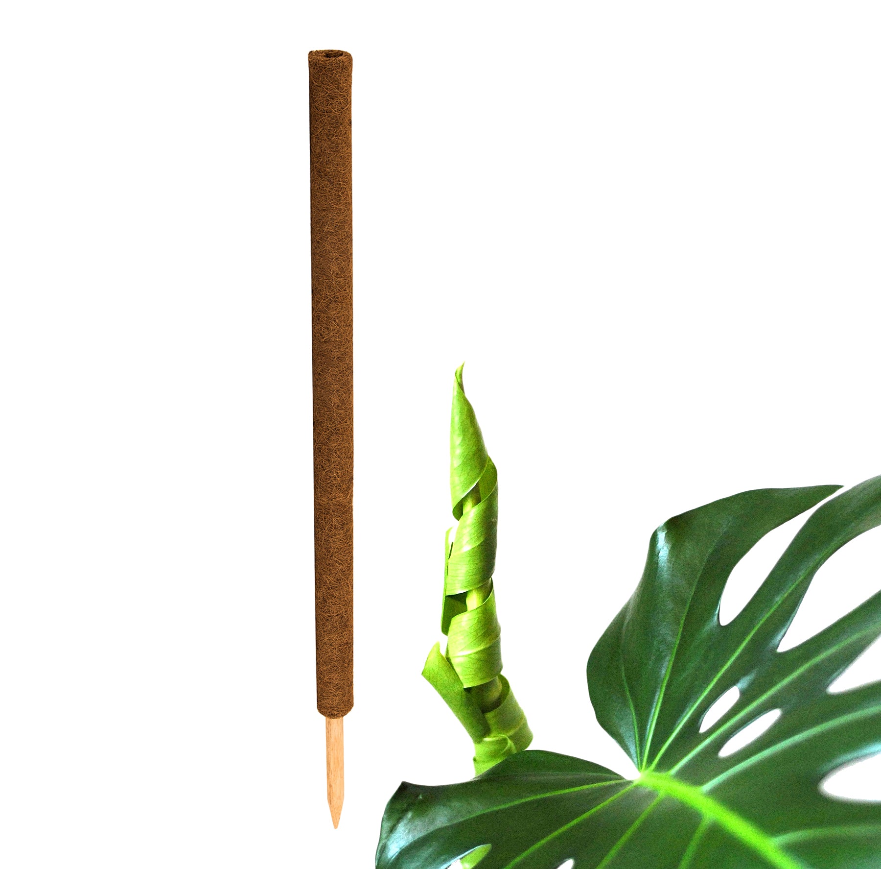 ecomposer-menge-1x,ecomposer-größe-110cm