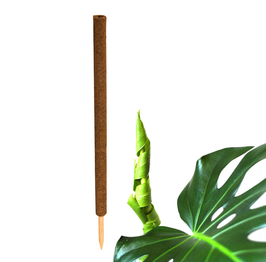 BigDean Pflanzstab Kokos 110 cm - Monstera Rankhilfe Rankstab Stab Moosstab Pflanzenstab Kokosstab für Pflanzen - aus natürlicher Kokosfaser - verlängerbar image 1
