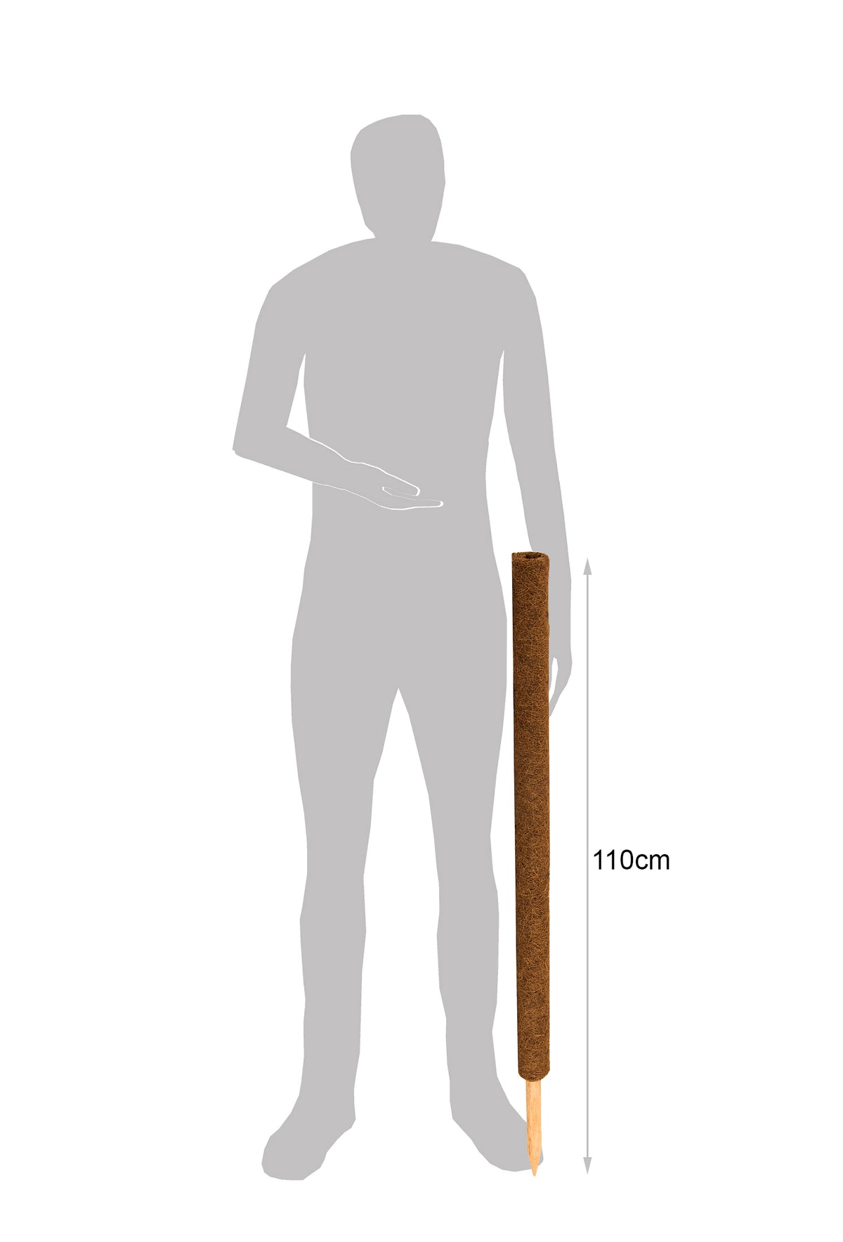 BigDean Pflanzstab Kokos 110 cm - Monstera Rankhilfe Rankstab Stab Moosstab Pflanzenstab Kokosstab für Pflanzen - aus natürlicher Kokosfaser - verlängerbar image 5