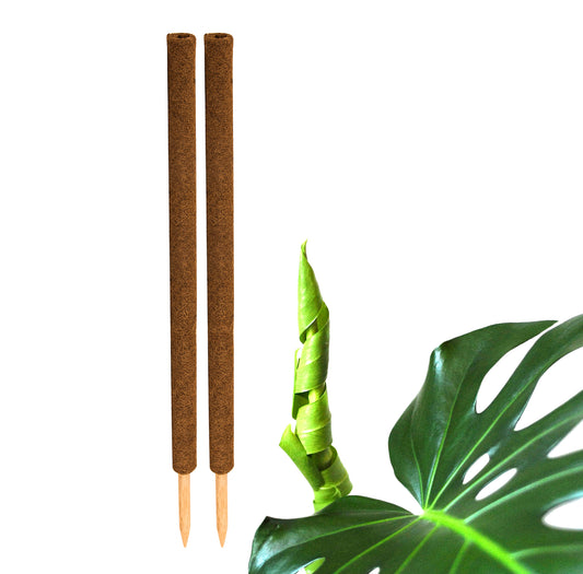 BigDean 2er Set Pflanzstäbe Kokos 110 cm - Monstera Rankhilfe Rankstäbe Stab Moosstäbe Pflanzenstäbe Kokosstäbe für Pflanzen - aus natürlicher Kokosfaser - verlängerbar image 1