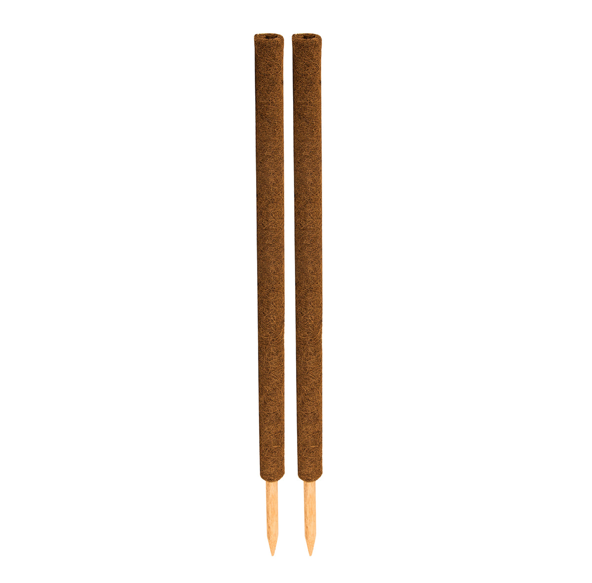 BigDean 2er Set Pflanzstäbe Kokos 110 cm - Monstera Rankhilfe Rankstäbe Stab Moosstäbe Pflanzenstäbe Kokosstäbe für Pflanzen - aus natürlicher Kokosfaser - verlängerbar image 2