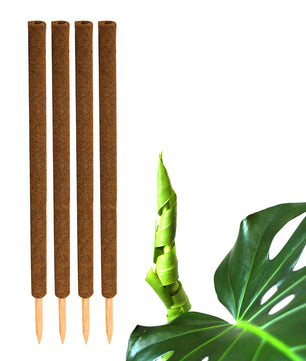 ecomposer-menge-4x,ecomposer-größe-110cm