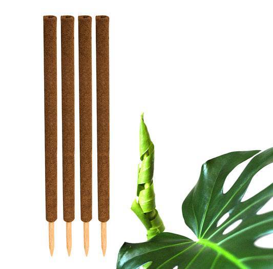 BigDean 4er Set Pflanzstäbe Kokos 110 cm - Monstera Rankhilfe Rankstäbe Stab Moosstäbe Pflanzenstäbe Kokosstäbe für Pflanzen - aus natürlicher Kokosfaser - verlängerbar image 1