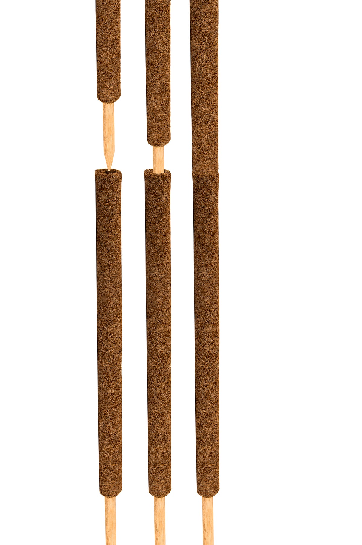 BigDean 4er Set Pflanzstäbe Kokos 110 cm - Monstera Rankhilfe Rankstäbe Stab Moosstäbe Pflanzenstäbe Kokosstäbe für Pflanzen - aus natürlicher Kokosfaser - verlängerbar image 4