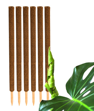ecomposer-menge-6x,ecomposer-größe-110cm