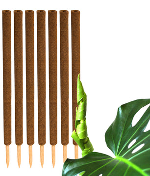 ecomposer-menge-8x,ecomposer-größe-110cm