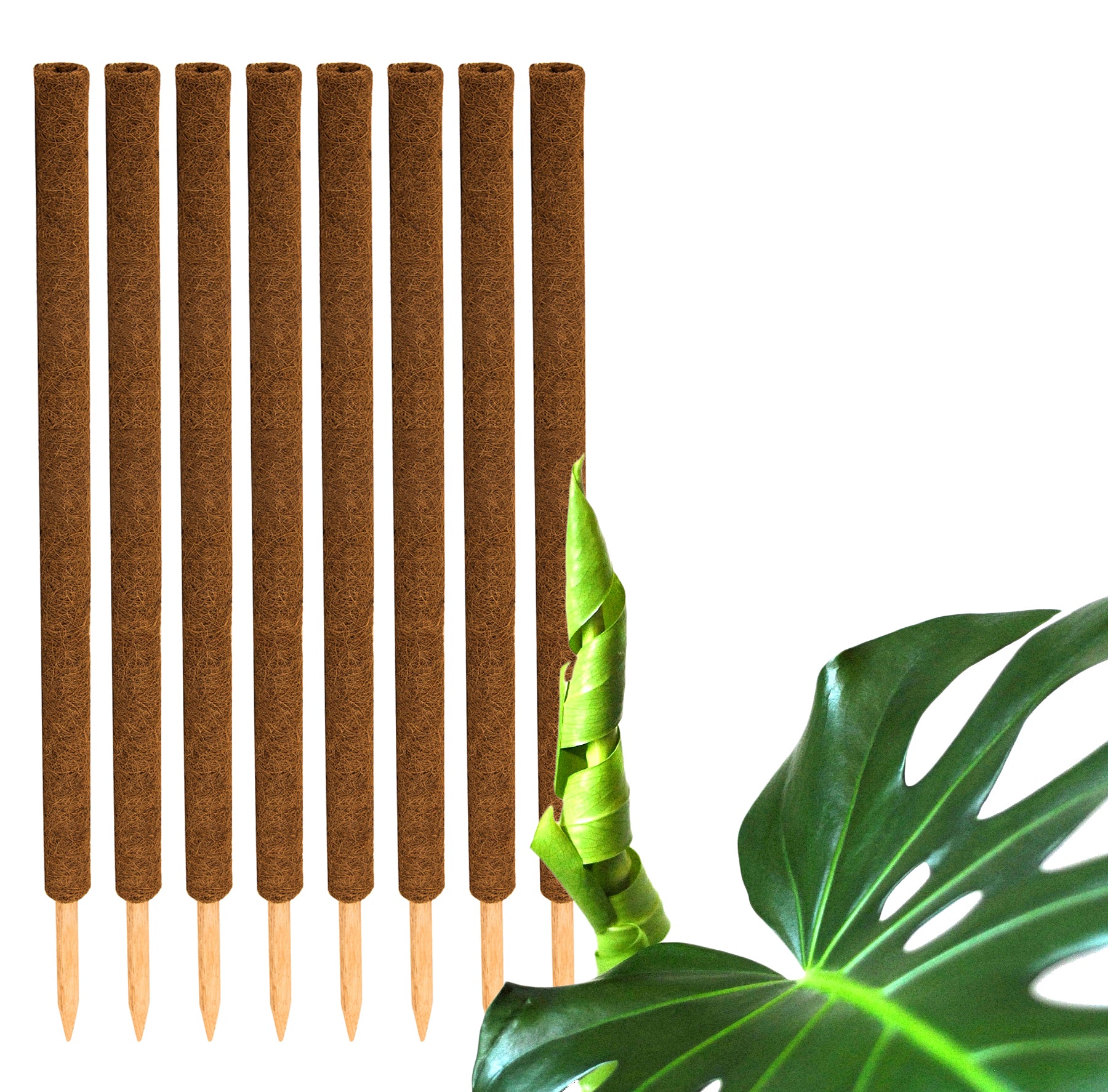 ecomposer-menge-8x,ecomposer-größe-110cm