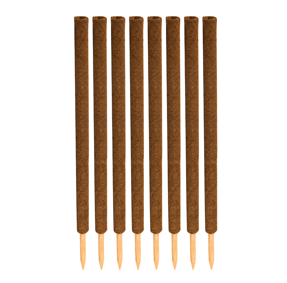 BigDean 8er Set Pflanzstäbe Kokos 110 cm - Monstera Rankhilfe Rankstäbe Stab Moosstäbe Pflanzenstäbe Kokosstäbe für Pflanzen - aus natürlicher Kokosfaser - verlängerbar image 2