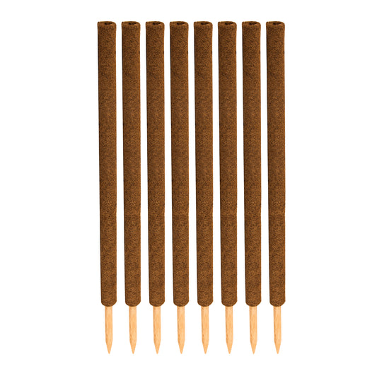 BigDean 8er Set Pflanzstäbe Kokos 110 cm - Monstera Rankhilfe Rankstäbe Stab Moosstäbe Pflanzenstäbe Kokosstäbe für Pflanzen - aus natürlicher Kokosfaser - verlängerbar image 2
