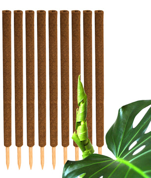 ecomposer-menge-10x,ecomposer-größe-110cm