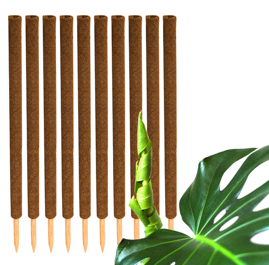 BigDean 10er Set Pflanzstäbe Kokos 110 cm - Monstera Rankhilfe Rankstäbe Stab Moosstäbe Pflanzenstäbe Kokosstäbe für Pflanzen - aus natürlicher Kokosfaser - verlängerbar image 1