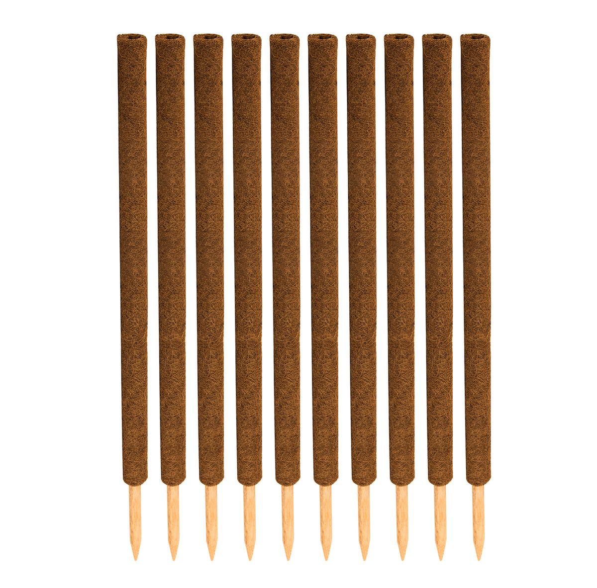BigDean 10er Set Pflanzstäbe Kokos 110 cm - Monstera Rankhilfe Rankstäbe Stab Moosstäbe Pflanzenstäbe Kokosstäbe für Pflanzen - aus natürlicher Kokosfaser - verlängerbar image 2