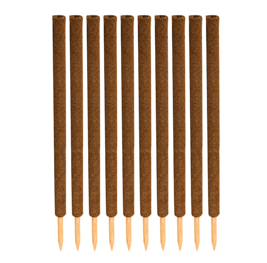 BigDean 10er Set Pflanzstäbe Kokos 110 cm - Monstera Rankhilfe Rankstäbe Stab Moosstäbe Pflanzenstäbe Kokosstäbe für Pflanzen - aus natürlicher Kokosfaser - verlängerbar image 2