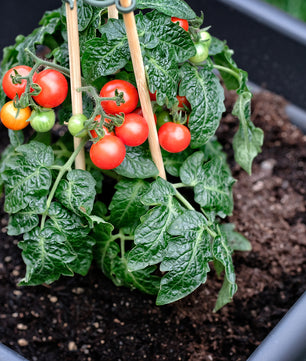 ecomposer-menge-200x