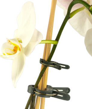 ecomposer-menge-100x