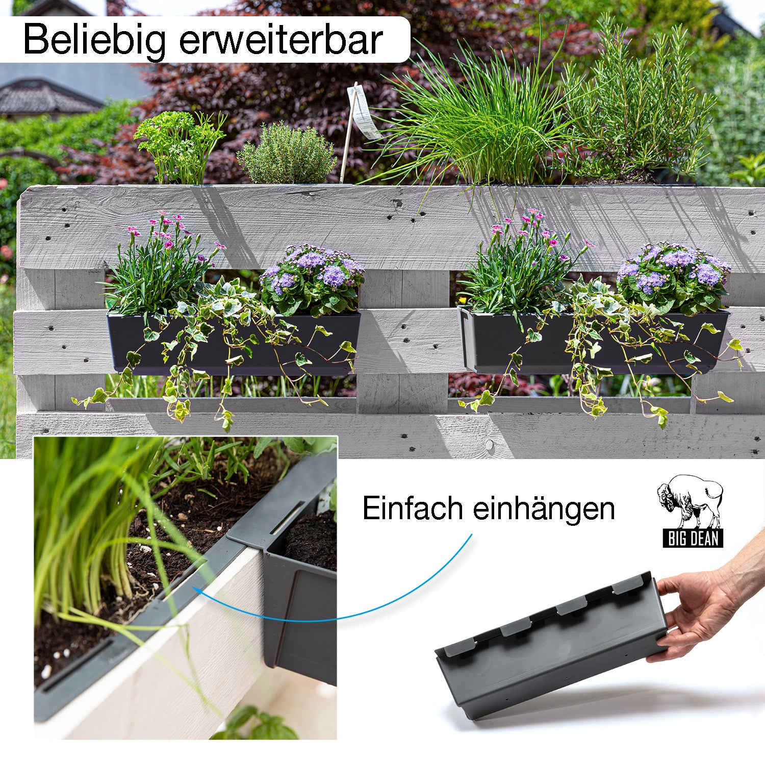 Blumenkasten 6er Set Europalette Pflanzkasten 37 cm 5