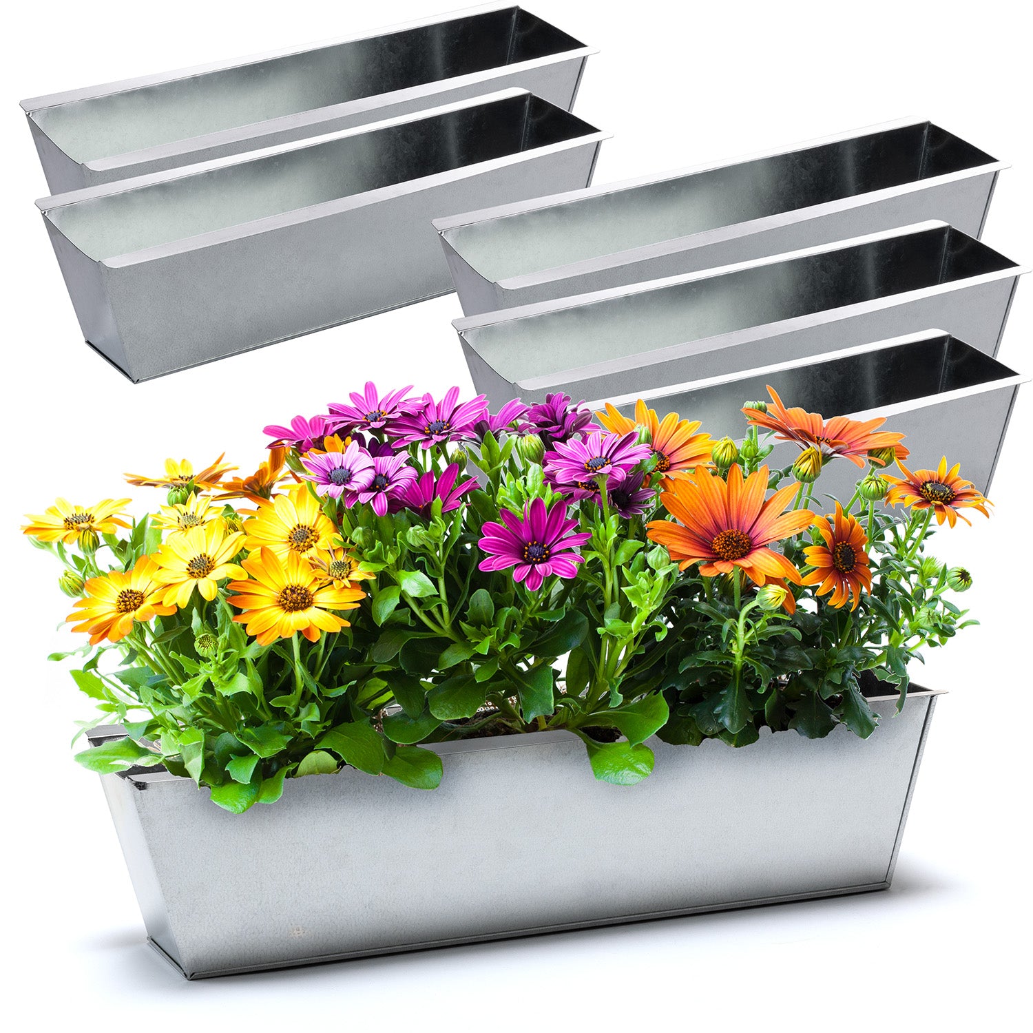 Paletten Blumenkasten 6x Kräuterbeet verzinkt