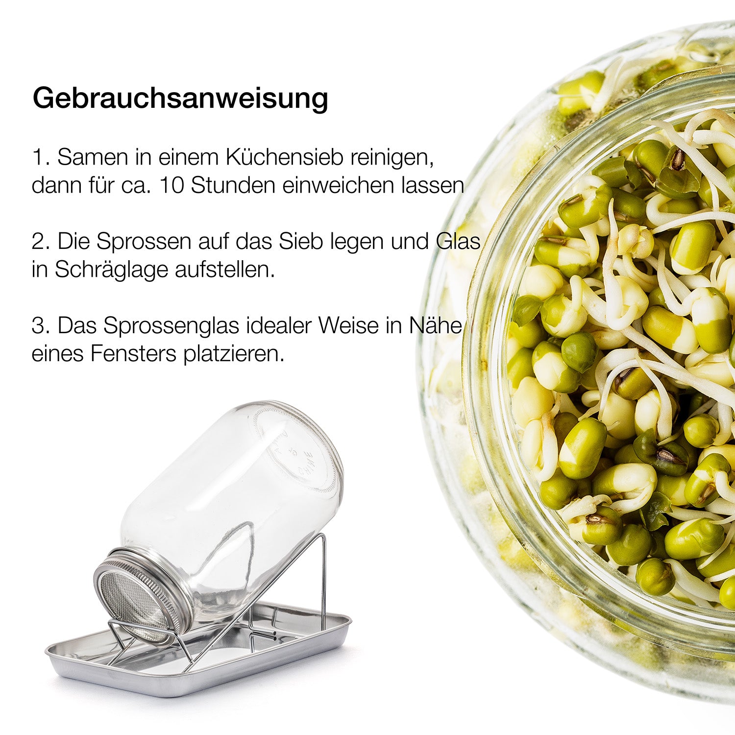 Sprossenglas Keimglas Set 1000ml - mit Edelstahl-Gitterdeckel + Ständer - Sprossen Keimgerät 5