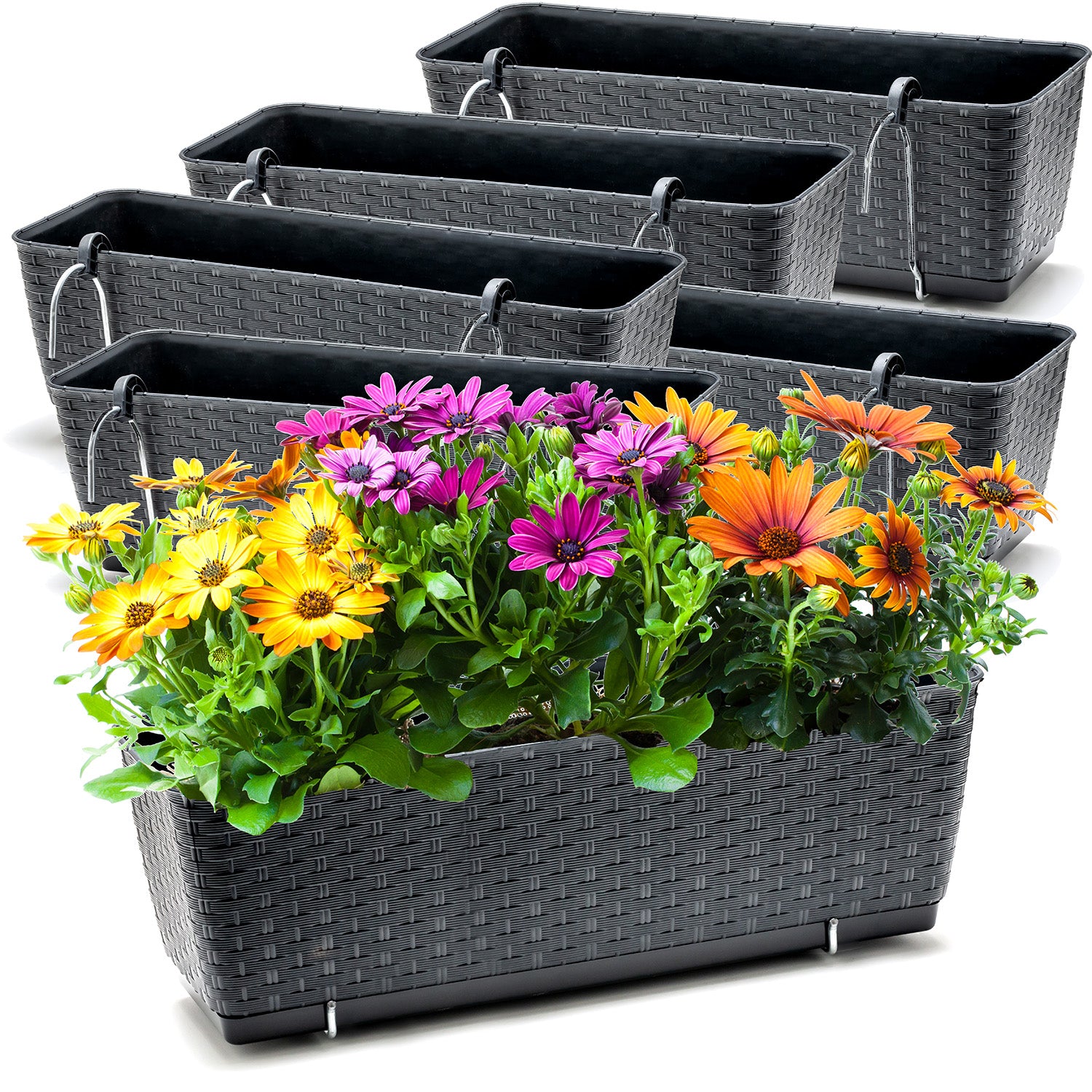 6er Set Blumenkästen für Balkon-Geländer - Rattan-Optik - Anthrazit - mit Halterung - 50cm