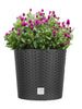 Blumentopf 20cm - Rattan-Optik - Anthrazit - Pflanzkübel mit Einsatz 2