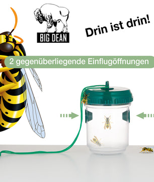 3er Set Wespenfalle Lebendfalle für Wespe, Fliege   Hornisse - Zum Aufhängen - Wespenschutz 3