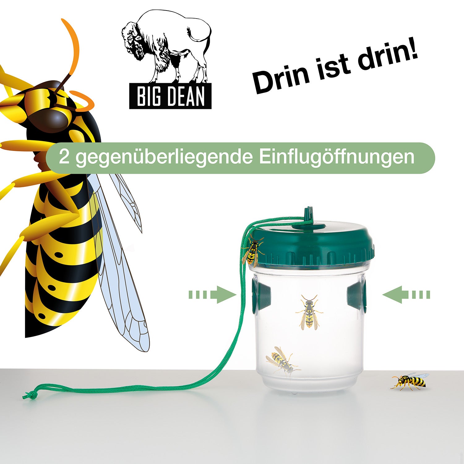 ecomposer-farbe-grün