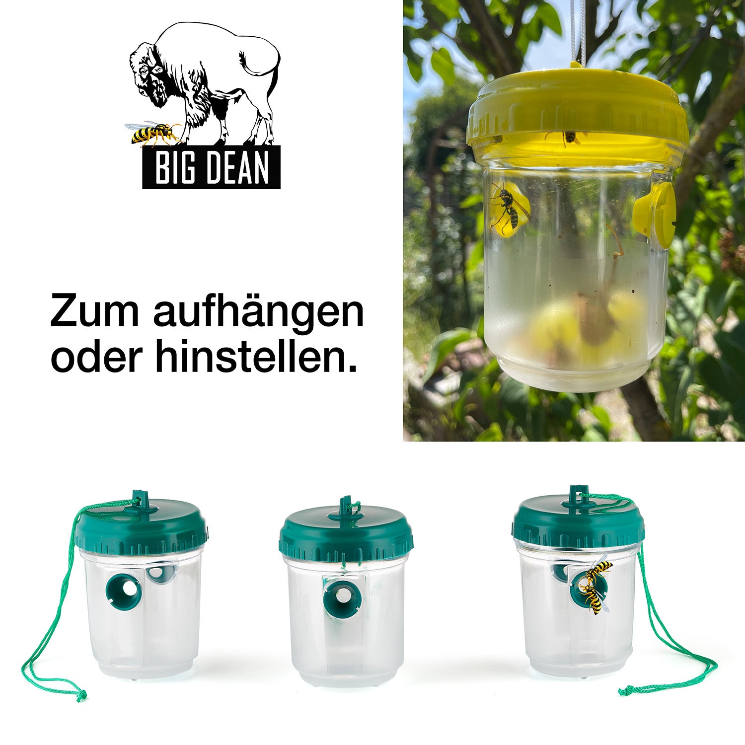 ecomposer-farbe-grün