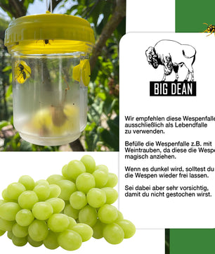 3er Set Wespenfalle Lebendfalle für Wespe, Fliege   Hornisse - Zum Aufhängen - Wespenschutz 6