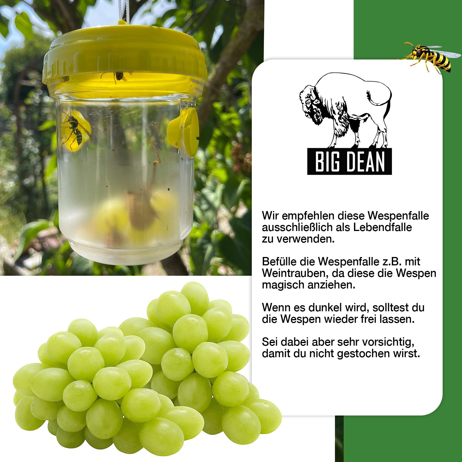 ecomposer-farbe-grün