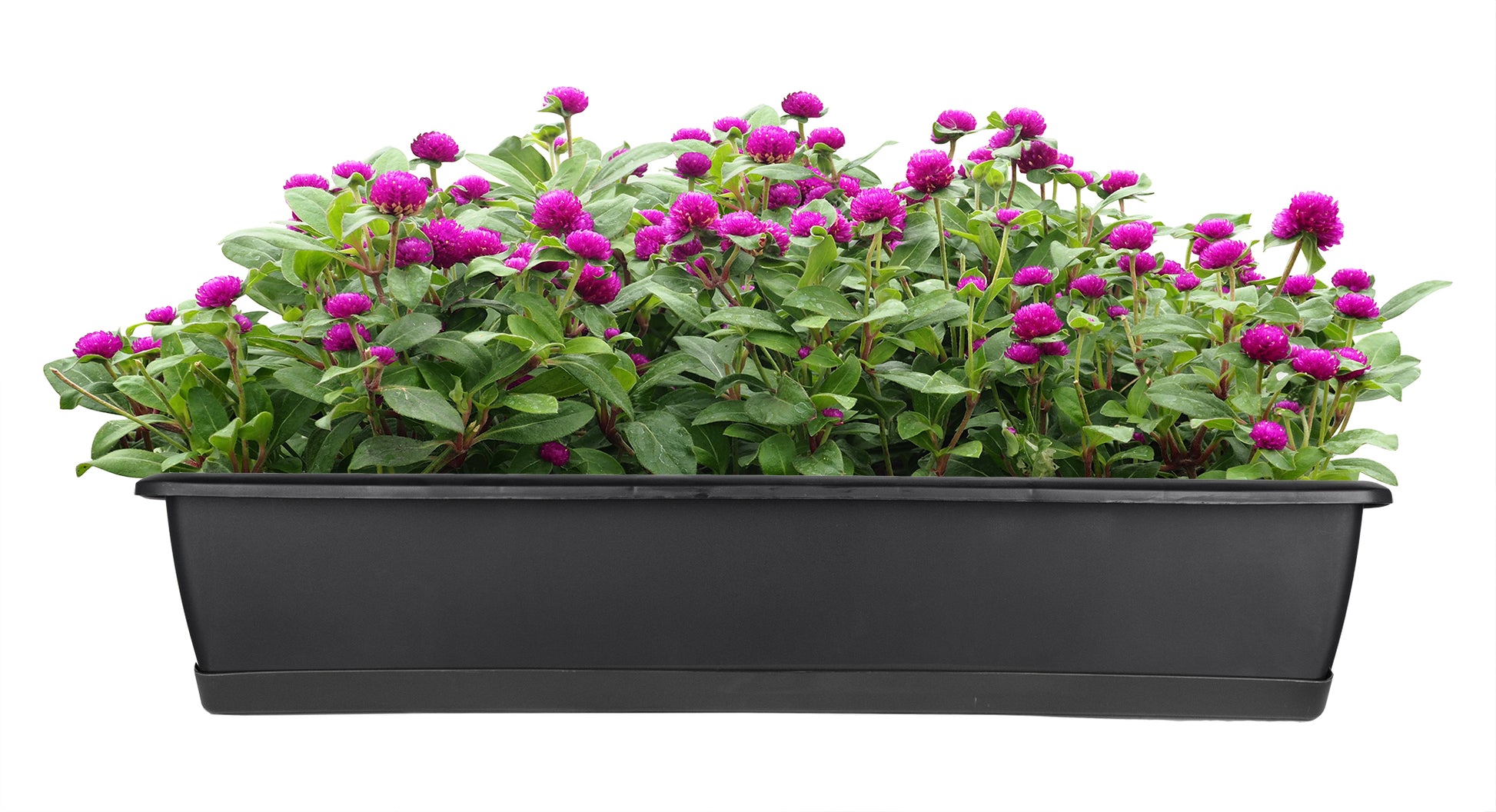 2er Set Blumenkasten mit Untersetzer 80 cm lang anthrazit - aus PP-Kunststoff  3
