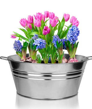 BigDean XL Zinkwanne Ø 48,5cm x 21,5cm H - massiv + wasserdicht zum Bepflanzen und Befüllen - Pflanz 5