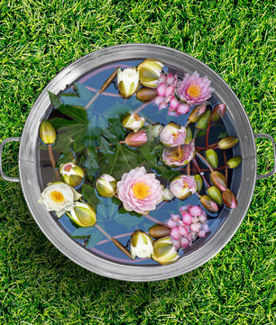 BigDean XL Zinkwanne Ø 48,5cm x 21,5cm H - massiv + wasserdicht zum Bepflanzen und Befüllen - Pflanz 6